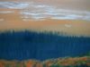 Εικόνα της Λίμνη με πάπιες (100 x 100 cm)  (Σειρά 2)