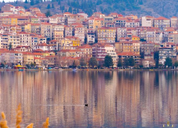 Picture of Kastoria's duck