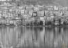 Picture of Kastoria's duck