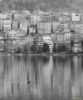 Picture of Kastoria's duck