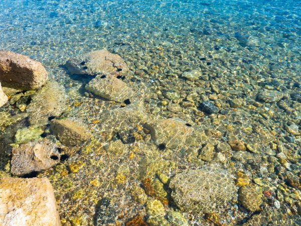 Εικόνα της Ο βυθός
