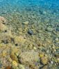 Εικόνα της Ο βυθός