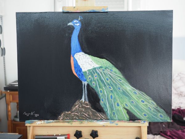 Picture of Peacock (50 x 70cm) (Series 2)